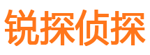 兴隆台市私家侦探